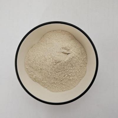 Psyllium husk Powder