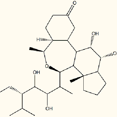 28-high brassinolide(74174-44-0)