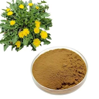 蒲公英提取物(CAS:84775-55-3)