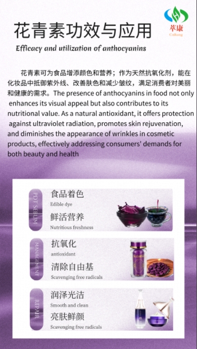 黑米花青素应用.png